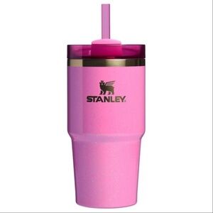 NWT Stanley Wicked Quencher H2.0 20 oz flowstate tumbler in pink - Glinda